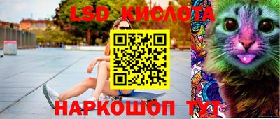 стаф Будённовск