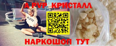 стаф Будённовск
