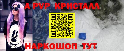 стаф Будённовск