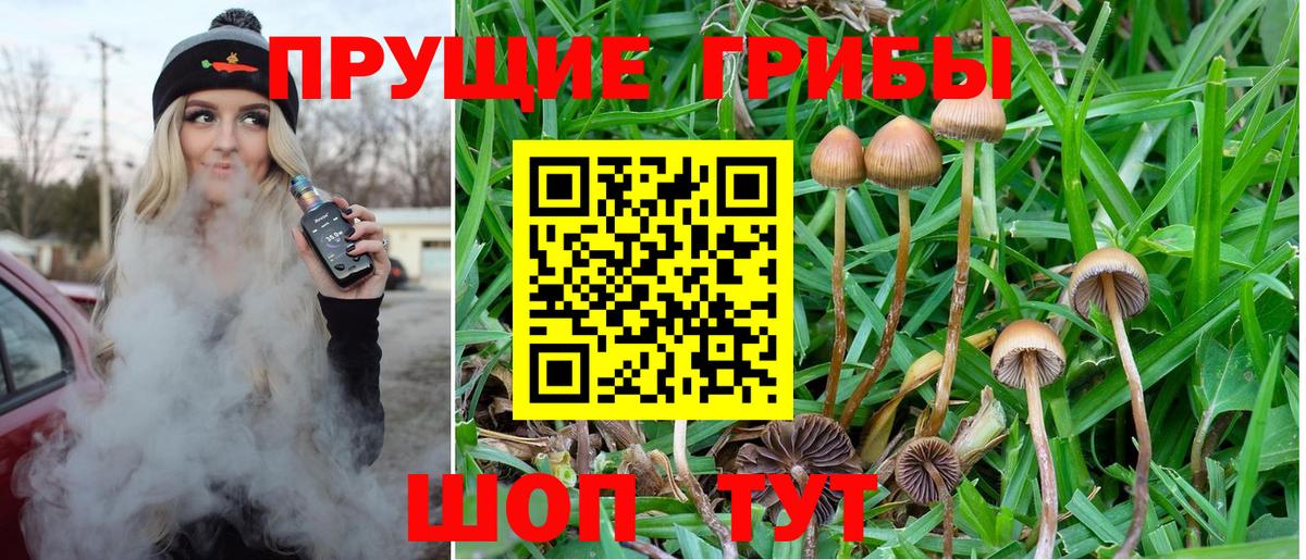 Владивосток  Псилоцибиновые грибы GOLDEN TEACHER  Вход с VPN 