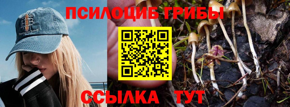 Псилоцибиновые грибы мицелий Владивосток
